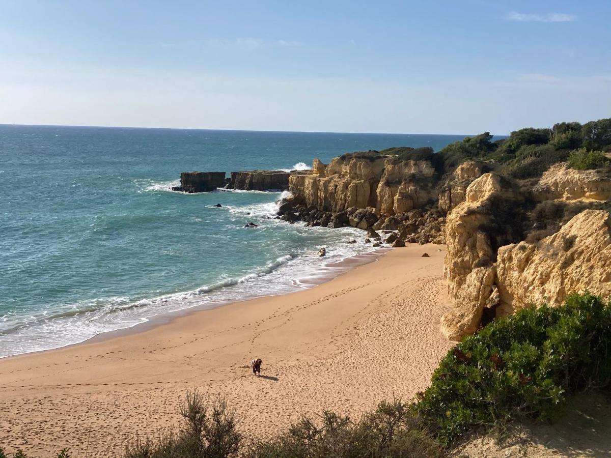 Albufeira Portugal Maria Appt Leilighet Eksteriør bilde