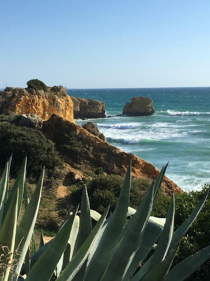 Albufeira Portugal Maria Appt Leilighet Eksteriør bilde